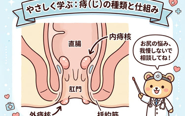 痔の出血を止める:ボラギノール プレミアムで症状改善