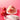 凍らせておいしい 苺ミルクあいす