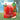 Kato Confectionery Salt Tomato Candy