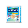 Hisamitsu Pharmaceutical La Salonpas 10 sheets