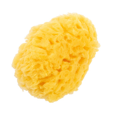 Natural Sponge