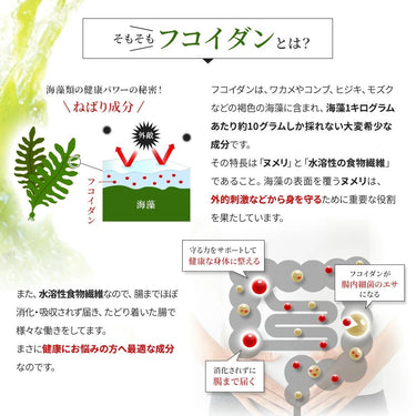 フコイダンブイ 錠