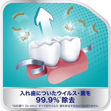 효소 함유 폴리덴트