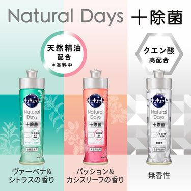 CUCUTE Natural Days+除菌 餐具洗潔劑 馬鞭草與柑橘香