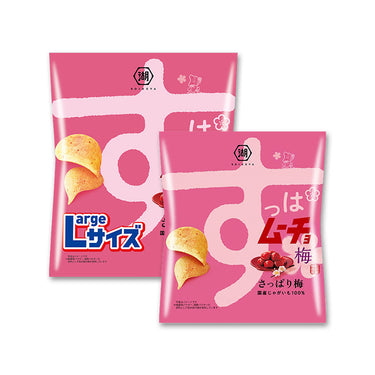 酸酸的梅子味零食