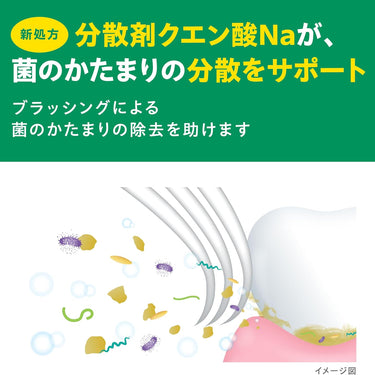 GUM Dental paste Salty Mint