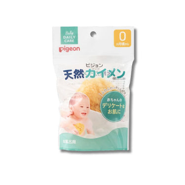 천연 해면