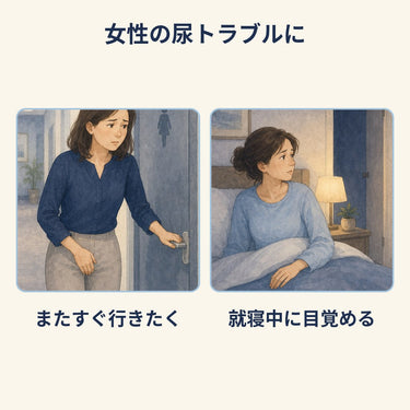 女士護衛 KOWA