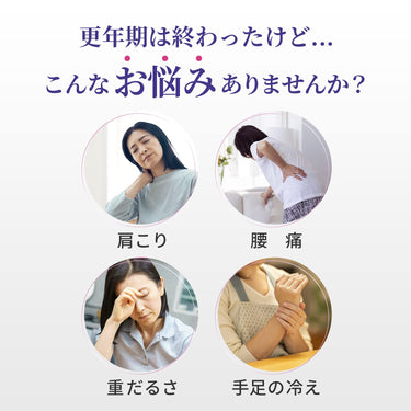命之母 活力版