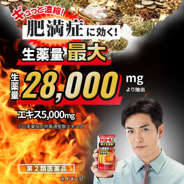 ナイシトール Za