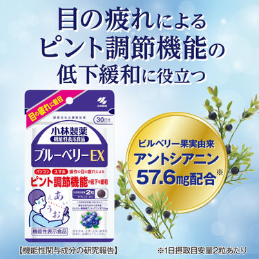 Blueberry EX