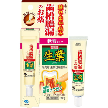 Seiyo Oral Ointment