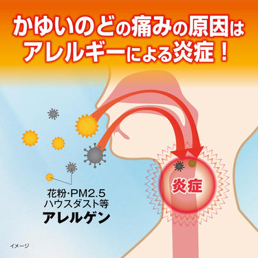 カユノード 顆粒