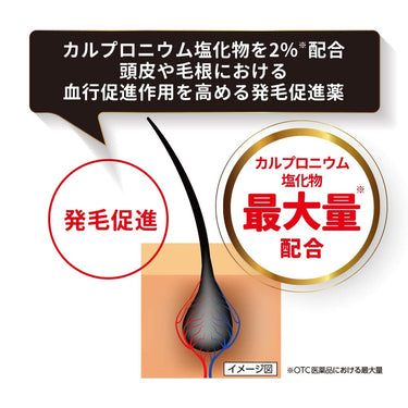 卡洛扬进阶 EX 干燥头皮用