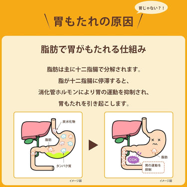 Tanabe Stomach Medicine Urso