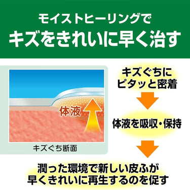 ケアリーヴ 治す力 BIGサイズ