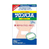 Hisamitsu Pharmaceutical Salonpas Ae Large Size 12 Sheets