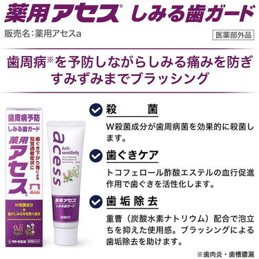 佐藤製薬 薬用アセス 90g