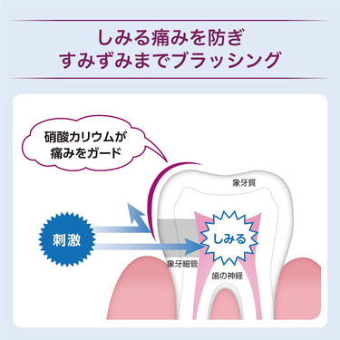藥用 アセス 刺痛牙齒護理