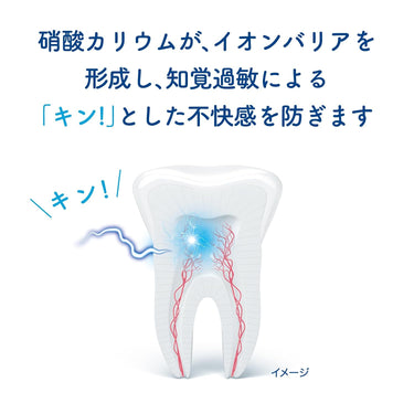 シュミテクト トゥルーホワイト